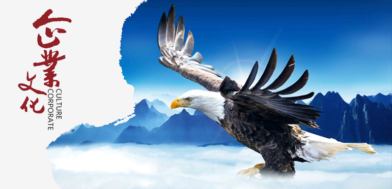 企業(yè)文化 企業(yè)文化